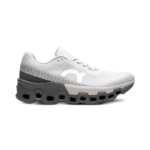 Cloudmonster 2 'Frost Rock'